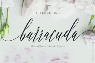 Barracuda Script: A Font for Handmade Product Makers