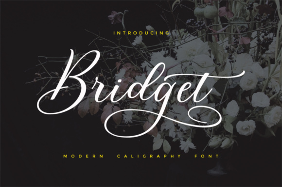 Bridget Script: A Modern Calligraphic Typeface