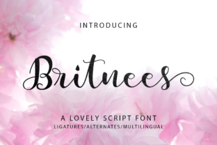 Britnees Script: A Modern Font for Small Business Branding