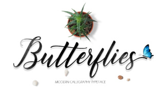 Butterflies Script Font for Web Design