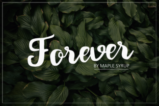 Forever Script: A Practical Font for Building a Beloved Brand