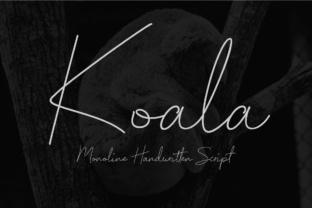 Koala Script: A Handwritten Typeface for Editorial Work