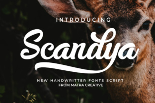 Scandya Script: A Font for Real Campaigns