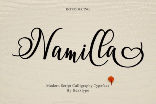 Upgrade Your Brand With Namilla Script Duo